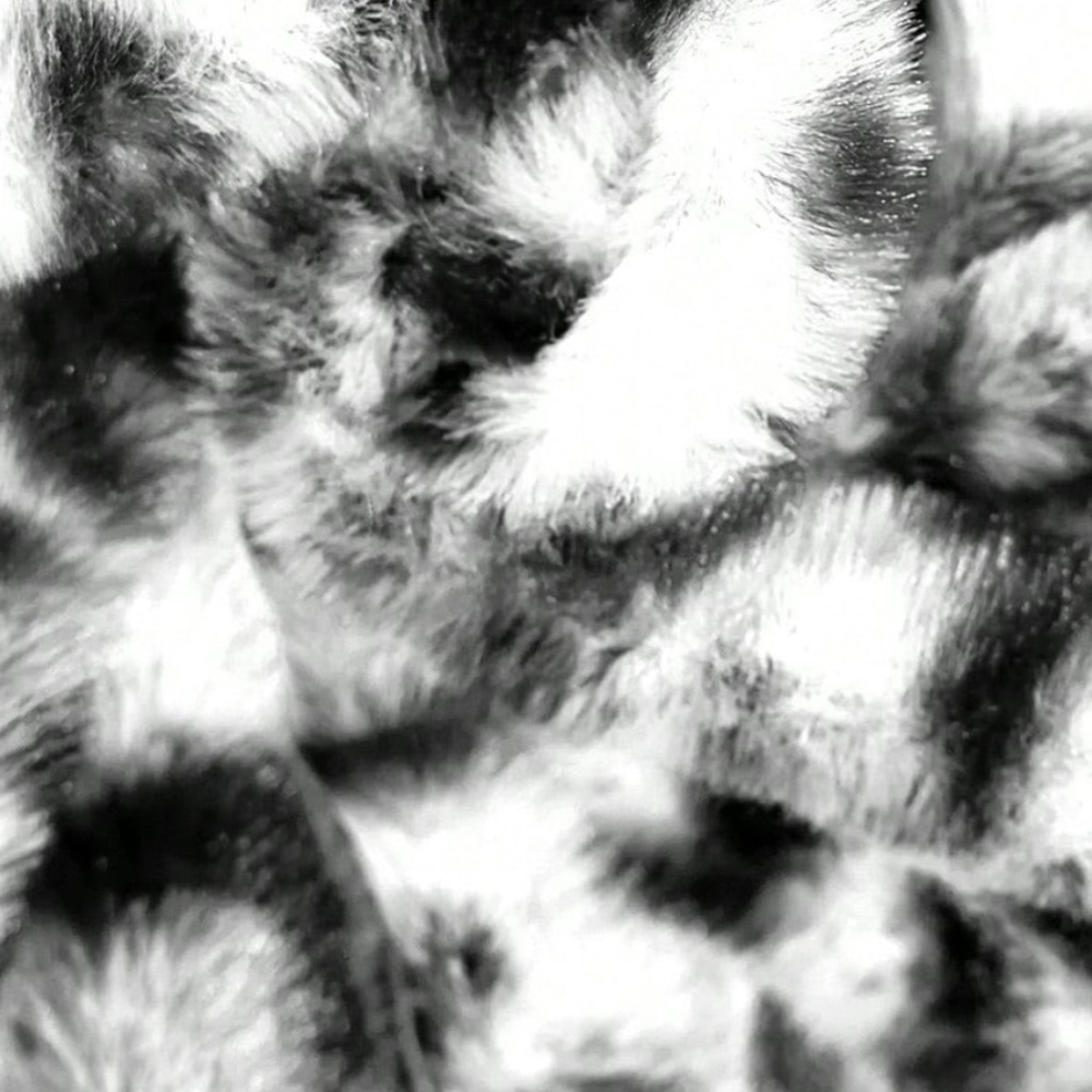 Plus Vegan Fur Leopard Print Open Front Jacket Coat - Picture 8 of 9